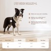 3-Flap Dog Door, Large Doggy Door for Wall, Never Rust