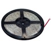 SUSAY 5M Waterproof IP65 300 LED 3528 SMD Flexible LED