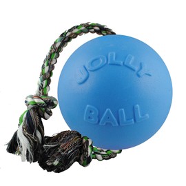 Jolly Pets Ball Romp-n-Roll Dog Toy, 10 cm, Light Blue