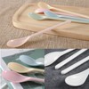 BSITSSS 6 Pieces Spoons Reusable, Pure Colour Teaspoons, Dessert Spoons