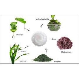 Skin Care By Suzie Ultra-Light Seaweed Cream