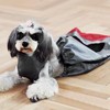 Disabled Paralyzed Pet Dog Protect Bag Anti scratch Wheelchair Auxiliary