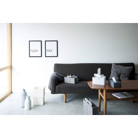 Chidorisangyou Remote Control Rack, White, W 8.3 x D 5.9 x H 4.7 inches (21 x 15 x 12 cm)