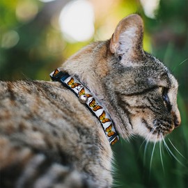 Buckle-Down Monarch Butterfly, Breakaway Cat Collar with Bell, Plastic Clip, Easy Adjustable, 8.5 to 12"-0.5" Wide