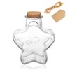 WHJY 29oz Star Shaped Glass Jar with Cork Lid for