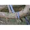 Ancol Timberwolf Comfortable Durable Leather Blue Dog Collar Pet Training