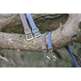 Ancol Timberwolf Comfortable Durable Leather Blue Dog Collar Pet Training Accessory 20-26 cm, Size 1