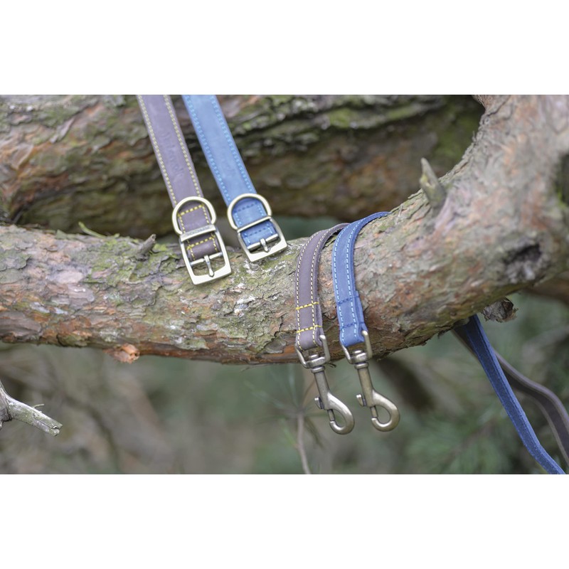 Ancol Timberwolf Comfortable Durable Leather Blue Dog Collar Pet Training