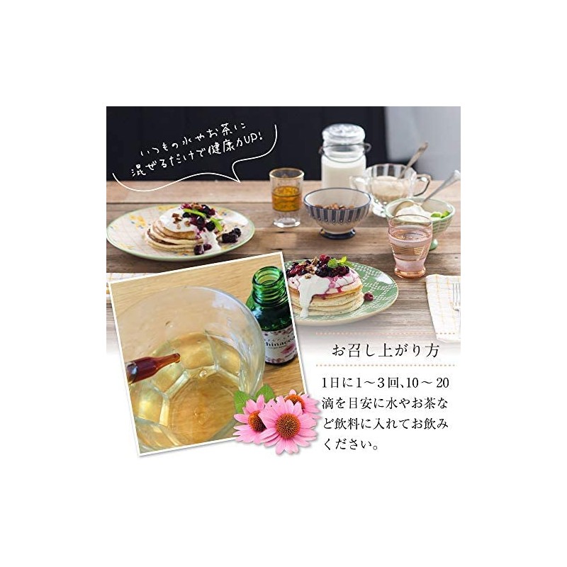 Echinacea Health Power Herb Concentrated Extract [Made in Japan] Simply