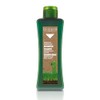 Salerm cosmetics Shampoo Specific Dandruff – 300 ml