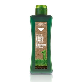 Salerm cosmetics Shampoo Specific Dandruff – 300 ml