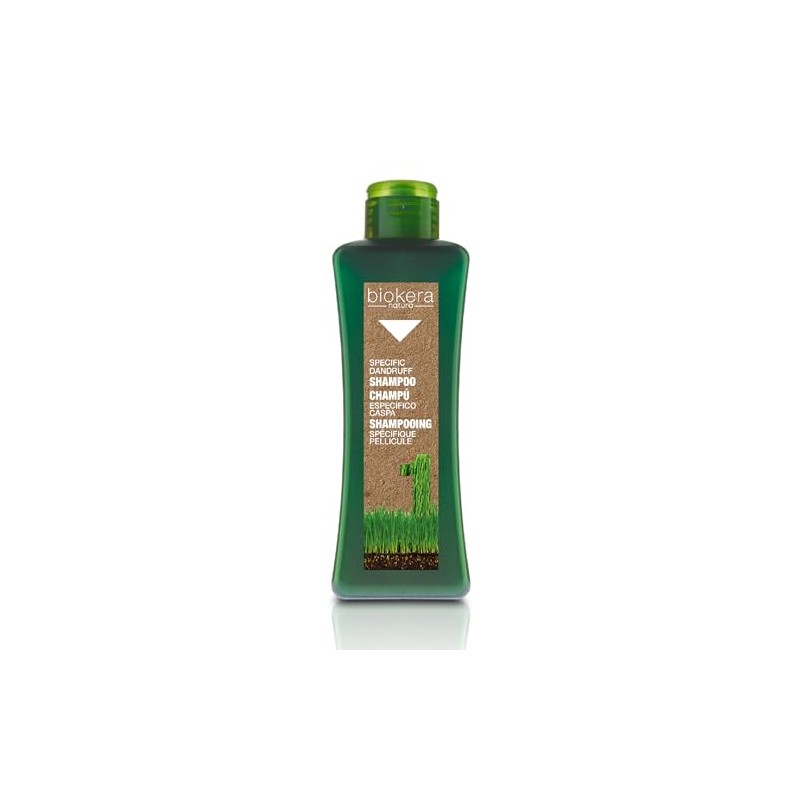 Salerm cosmetics Shampoo Specific Dandruff – 300 ml