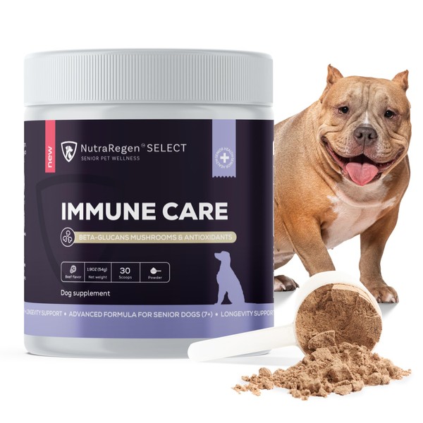 NutraRegen Select Immune Mushroom Powder for Senior Dogs – Beta-Glucans