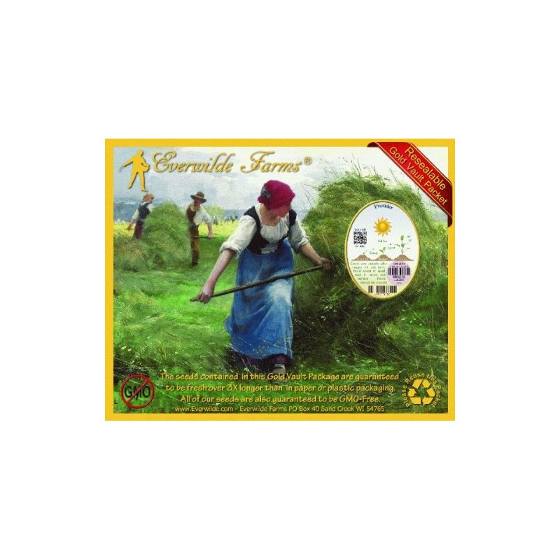 Everwilde Farms - 1 Lb Provider Green Bean Seeds -