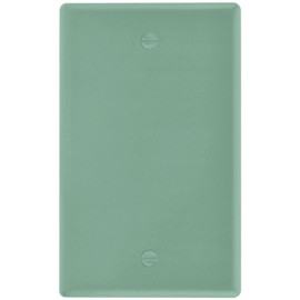 Matte Finish Toggle Light Switch Wall Plate Cover Electrical Outlet Size 1 Gang 2.9" x 4.6" Simple Living Room Bathroom Decor, Sage Green