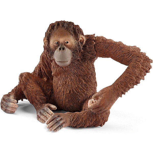 SCHLEICH Wild Life Orangutan Female Educational Figurine for Kids Ages 3-8