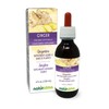 Naturalma Ginger (Zingiber officinalis) Rhizome Alcohol-Free Tincture - 4 fl