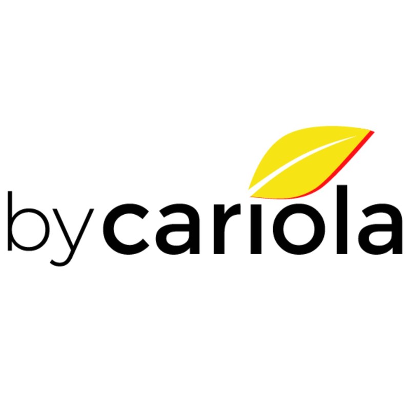 ARMY HEALTH 100% Natural Turmeric Curcumin 60 Capsules - Ginger,