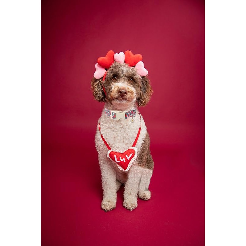 Lionet Paws Floral Dog Collar- Cute Red Pink Flower Dog