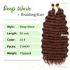 Eerya Long Curly Braiding Hair 20 Inch 2 Packs Deep