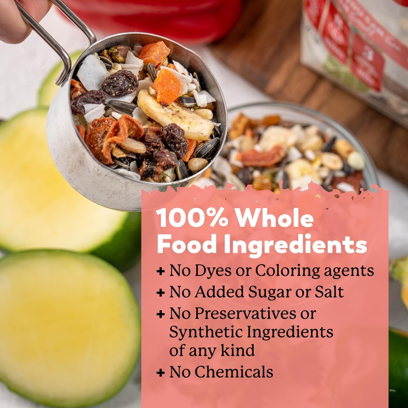 Dr. Harvey's Perfect Parrot Blend - Natural Food for Large