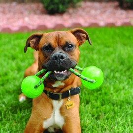 KONG Squeezz Ball with Handle Dog Toy, Medium