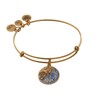 Alex and Ani A18EBJSRG,Jersey Shore Expandable Bangle Bracelet,Rafaelian Gold,Gold/Blue, Bracelet