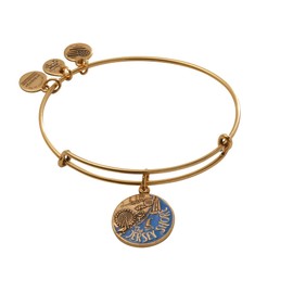Alex and Ani A18EBJSRG,Jersey Shore Expandable Bangle Bracelet,Rafaelian Gold,Gold/Blue, Bracelet