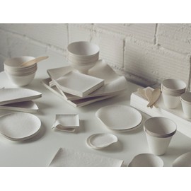 WASARA Square Plates (Small), Pack of 12 (1 Bag)