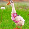 GGAUBAIFI 3Pcs Chicken Harness with Leash, Upgraded Double Adjustment Chicken