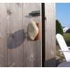 Sea Stones Coast Hook - Coat Hook - Hand Selected,