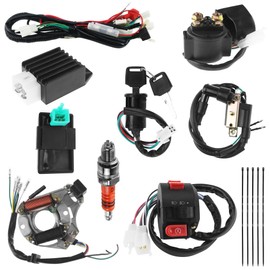 PRO BAT 110cc ATV Electric Wiring Harness for Chinese ATV Go Kart Taotao 50CC 70 90 110CC 125CC with Starter Solenoid Relay Ignition Coil Stator Voltage Regulator CDI