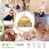 Glass Dome Essential Oil Diffuser with Glass Reservoir & Wood