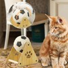 Cat Scratcher,Interactive Cat Toys with Wooden Base - Spherical Nail