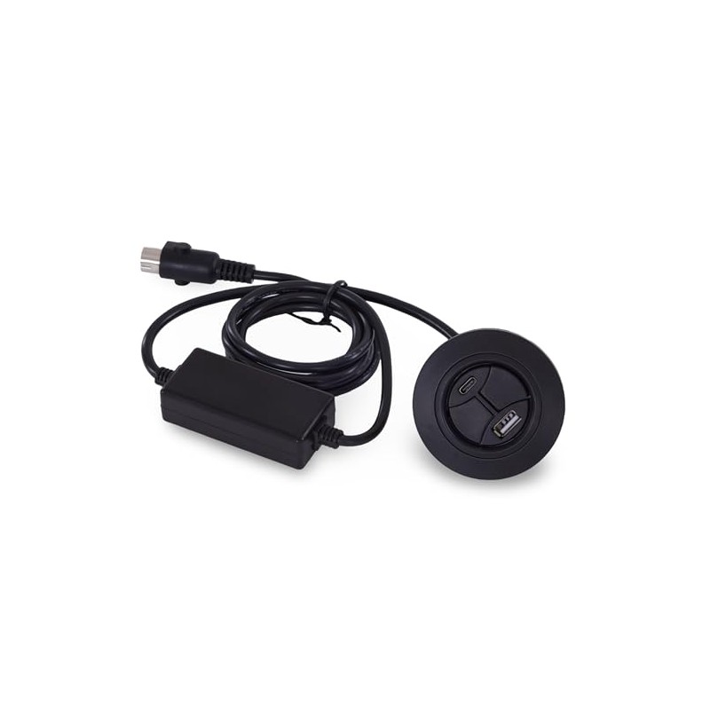 CD008 - Interruptor de repuesto reclinable con enchufe de 2