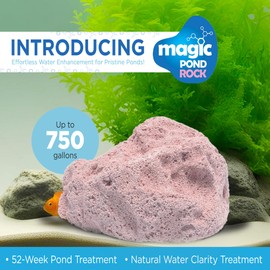 Magic Pond Rocks, Fish Tank Rocks for Enhancing Water Clarity with Your Regular Cleaning Routine, Fish Friendly Aquarium Rocks, All Natural Aquarium Decor, Small - Up to 750 Gallons