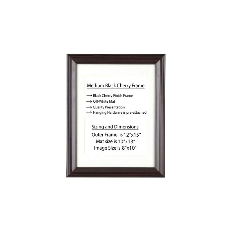 Generic Framed Photograph - Jeff Goldblum Autograph Promo Print 8x10