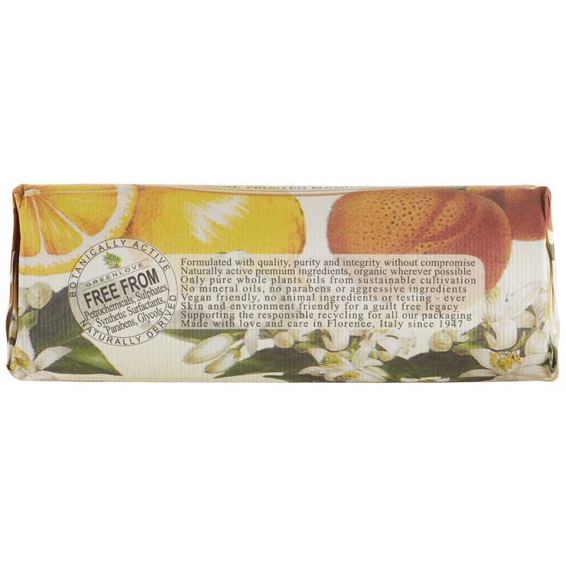 Nesti Dante Dolce Vivere Capri Soap 250g
