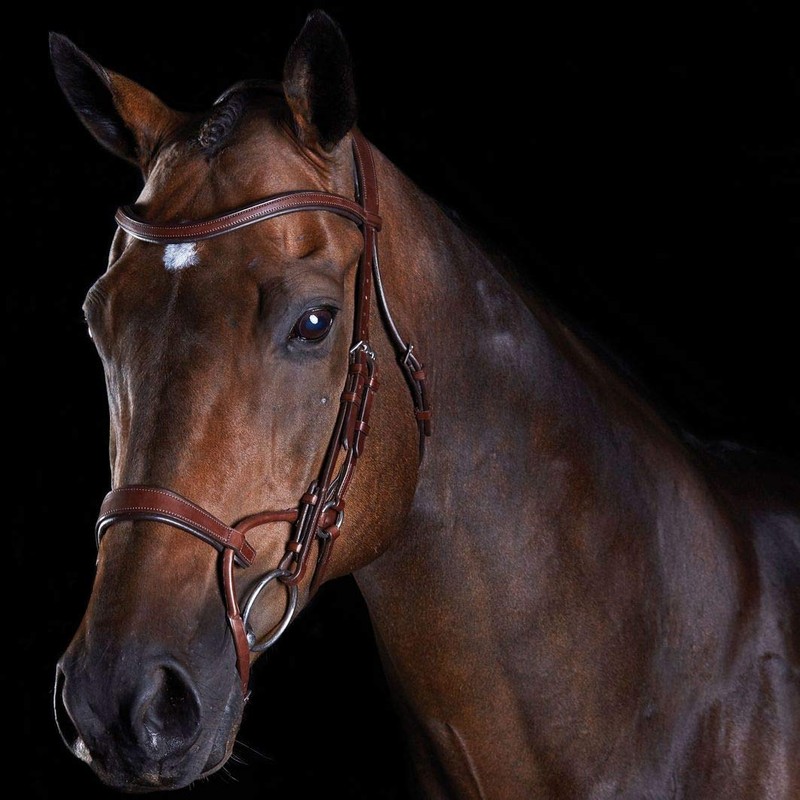 Collegiate Comfitec Training Bridle Brown Cob
