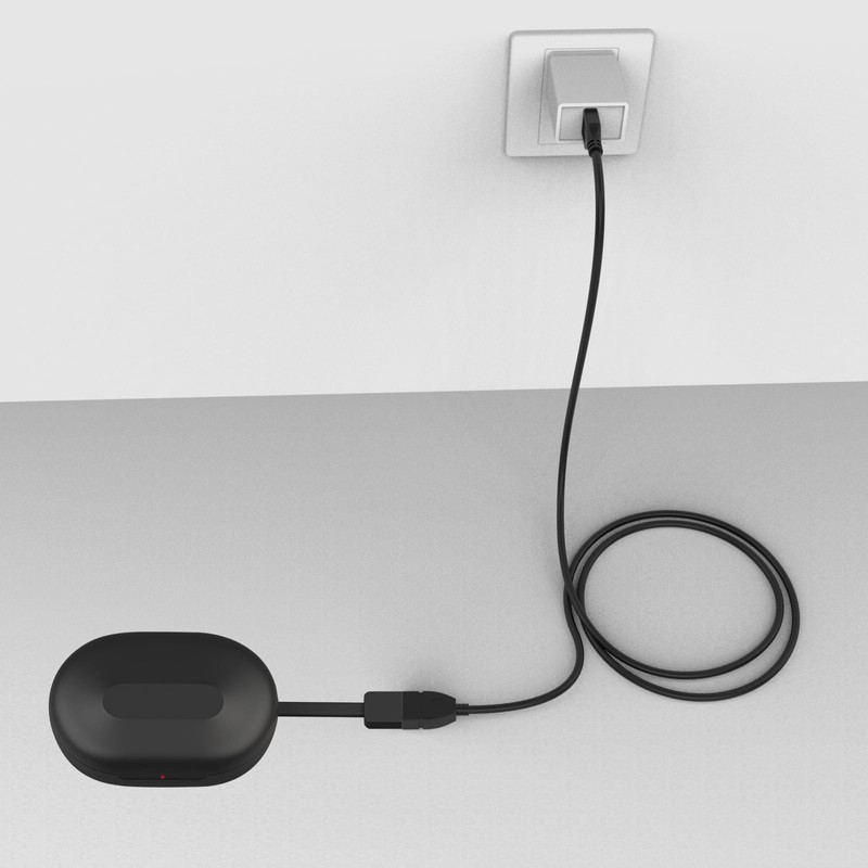 Zosvoses Go Air Pop Charger Cord Compatible with JLab Go
