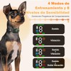 FEISEDY Collar de Castigo para Perro - Collar Antiladridos Automático