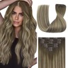 Sunny Hair Clip in Hair Extensions Human Hair Remy Human