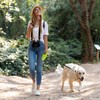 Pecute Correa Retráctil Para Perros De 32 Pies Con Tiras