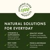 Swanson Bamboo Extract - Natural Hair, Skin and Nails Supplement