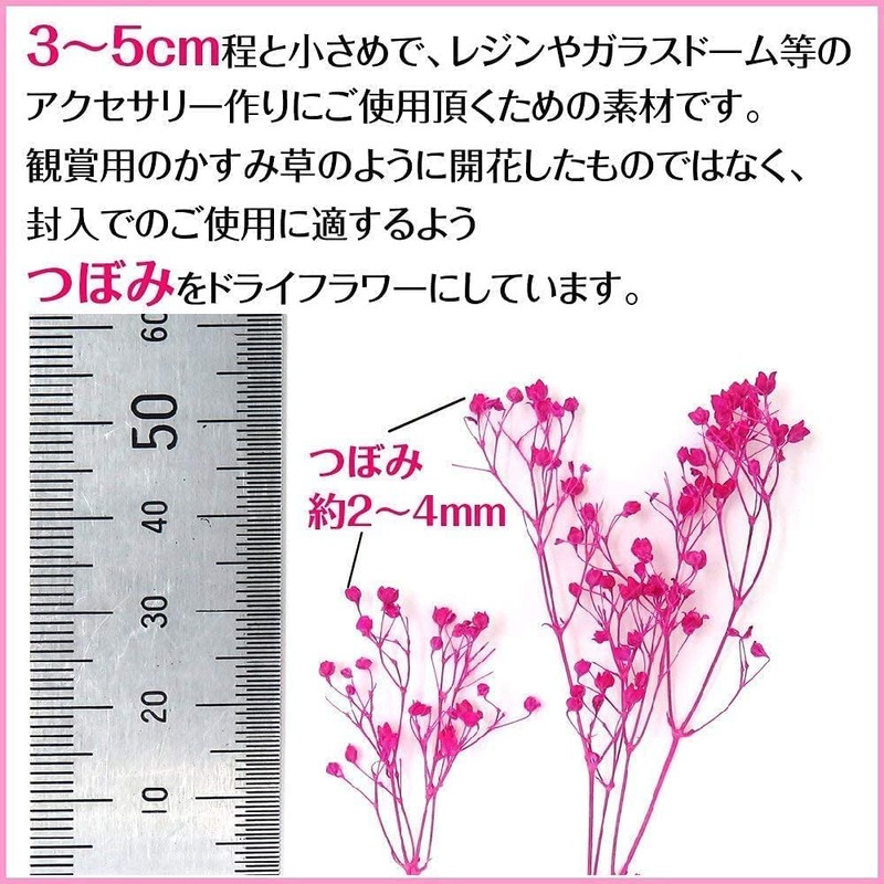 Mini Baby's-Breath Dried Flowers