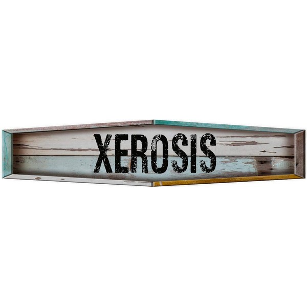 XEROSIS Teal Diamond 8" Shaped Weathered Painted Wood Look Magnet