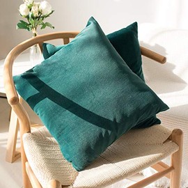 Sweet Forest Royal Green Velvet Square Cushion Cover, 2 Pack Luxury Decorative Throw Pillowcase Cover(16" x 16") with Smooth Hidden Zip for Home Sofa, Couch, Chair