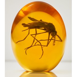 VEOJEIN Jurassic 3D Mosquito in Amber Resin | True 3D Original Design Realistic Flat Bottom Shaped | Measures 3.3 Inches Tall Dinosaur DNA Replica World | Collectable Prop | Cane Mount | Paper Weight