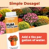 Mum Fertilizer, Complete Liquid Mum Plant Food for All Chrysanthemums,