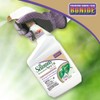 Bonide All Season Horticultural & Dormant Spray Oil, 32 oz